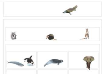 Clasificación de mamiferos Clasificación de mamiferos