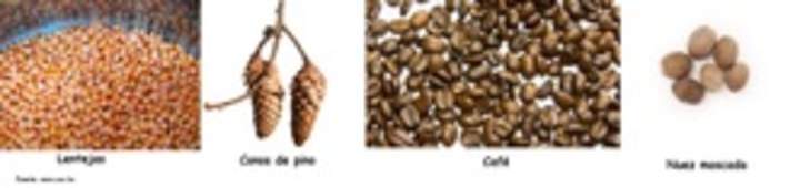 Variedad de semillas Variedad de semillas