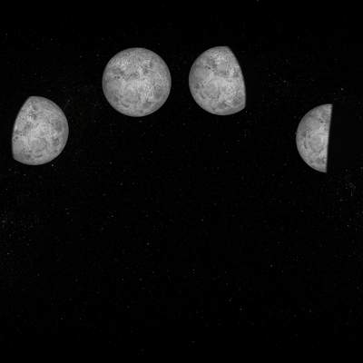 Fases de la luna Fases de la luna