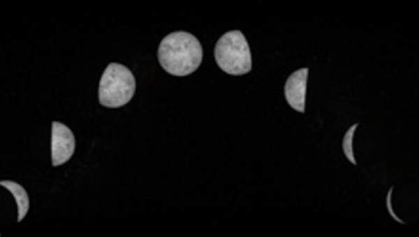 Fases de la luna Fases de la luna