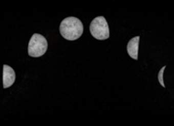 Fases de la luna Fases de la luna