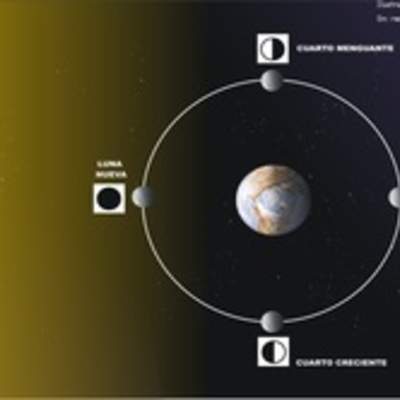 Fases de la luna Fases de la luna