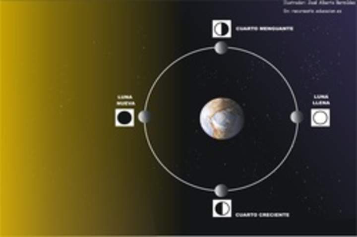 Fases de la luna Fases de la luna