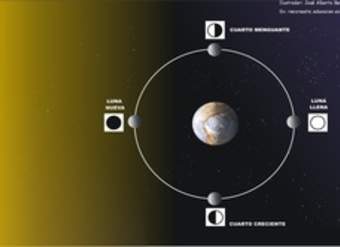 Fases de la luna Fases de la luna
