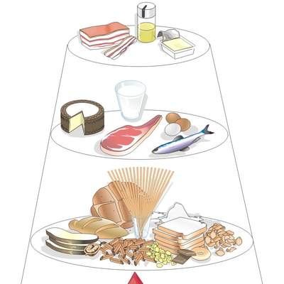 Tipos de alimentos Tipos de alimentos