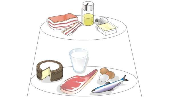Tipos de alimentos Tipos de alimentos