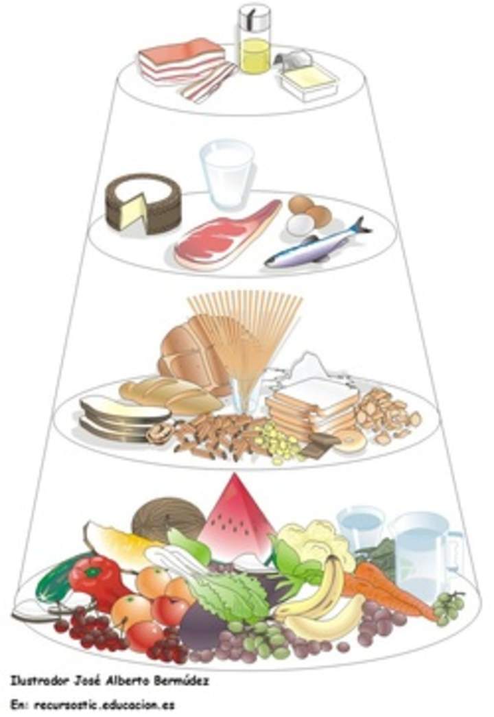 Tipos de alimentos Tipos de alimentos