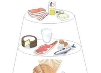 Tipos de alimentos Tipos de alimentos