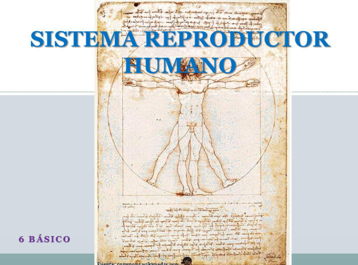 Aparato reproductor humano Aparato reproductor humano