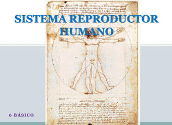 Aparato reproductor humano Aparato reproductor humano