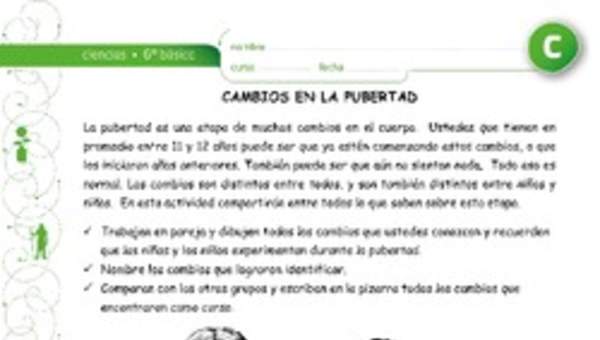 Cambios durante la pubertad Cambios durante la pubertad