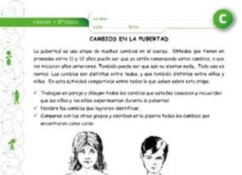 Cambios durante la pubertad Cambios durante la pubertad