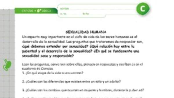 Sexualidad Sexualidad