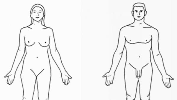 Cuerpos desnudos para dibujar Cuerpos desnudos para dibujar