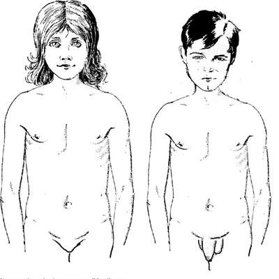 Cuerpo de niños púberes Cuerpo de niños púberes