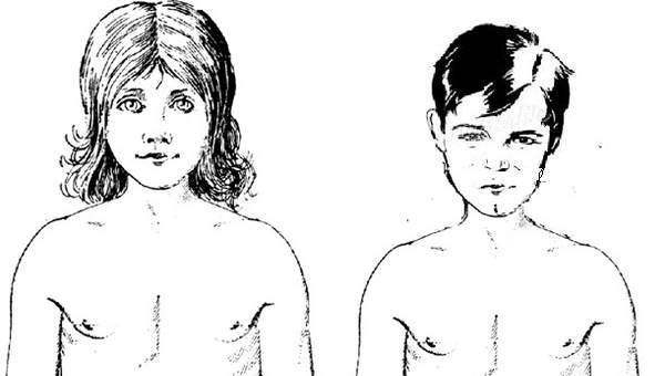 Cuerpo de niños púberes Cuerpo de niños púberes