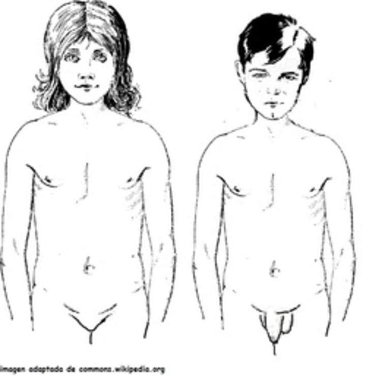 Cuerpo de niños púberes Cuerpo de niños púberes