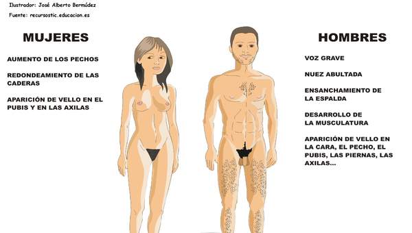 Desarrollo sexual humano Desarrollo sexual humano