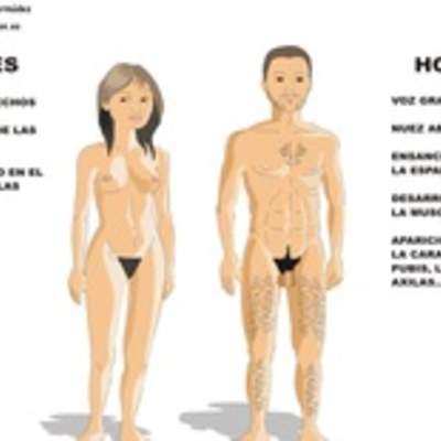 Desarrollo sexual humano Desarrollo sexual humano