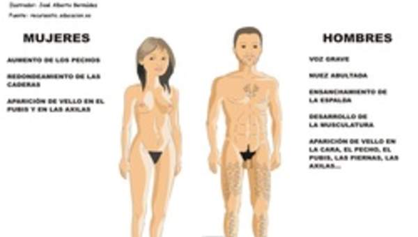 Desarrollo sexual humano Desarrollo sexual humano