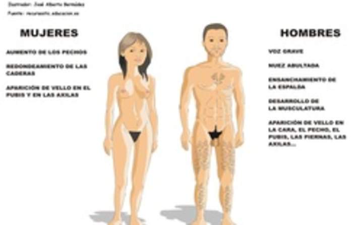 Desarrollo sexual humano Desarrollo sexual humano