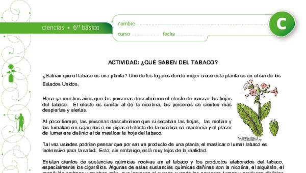 Qué saben del tabaco Qué saben del tabaco