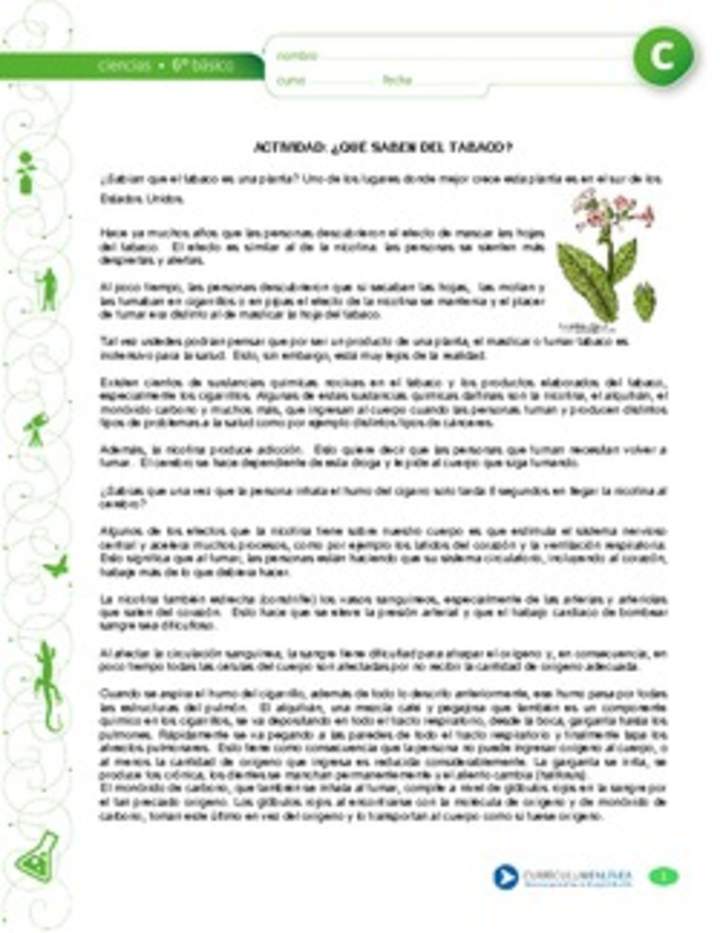 Qué saben del tabaco Qué saben del tabaco