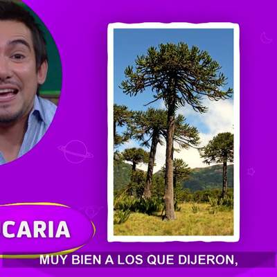 AprendoTV 2021 - ¡Gretel está perdida! 1° y 2° básico / Capítulo 01 AprendoTV 2021 - ¡Gretel está perdida! 1° y 2° básico / Capítulo 01