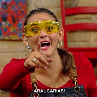 AprendoTV 2021 - Recursos forestales: la madera - 5° y 6° básico / Capítulo 01 AprendoTV 2021 - Recursos forestales: la madera - 5° y 6° básico / Capítulo 01