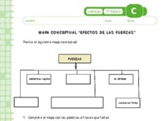 Efecto de las fuerzas Efecto de las fuerzas