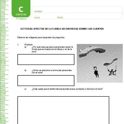 Efectos de la gravedad Efectos de la gravedad