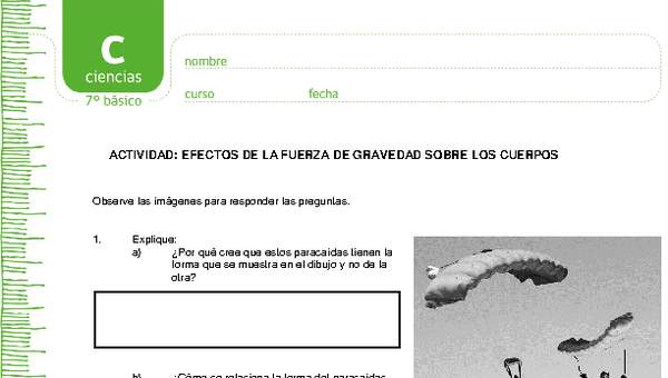 Efectos de la gravedad Efectos de la gravedad