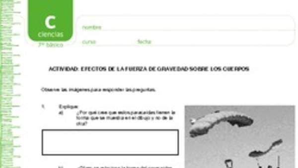 Efectos de la gravedad Efectos de la gravedad