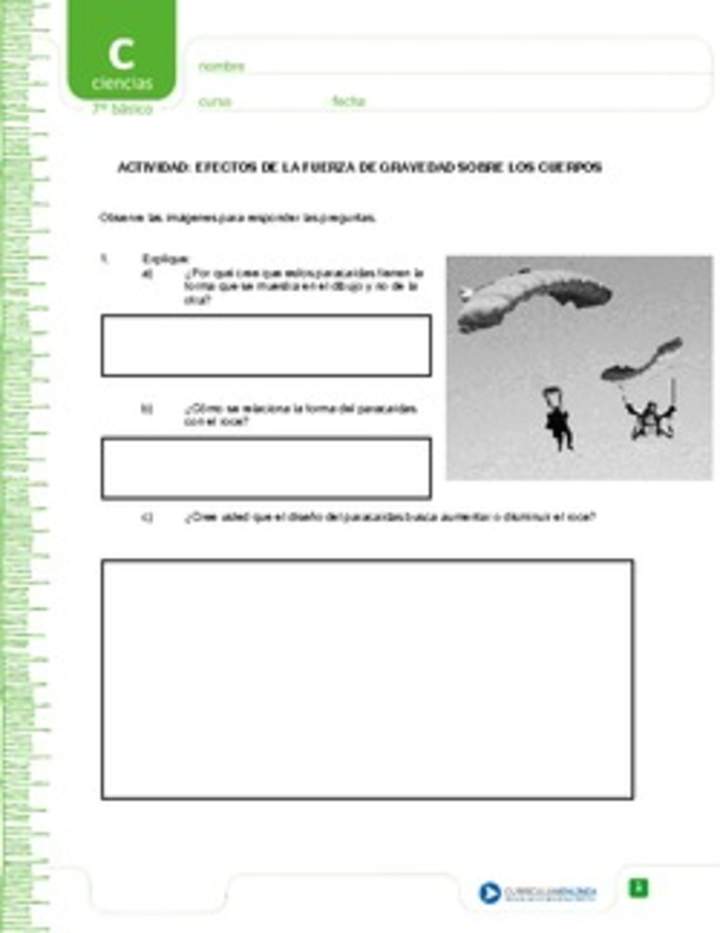 Efectos de la gravedad Efectos de la gravedad