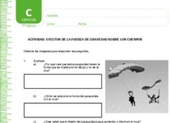 Efectos de la gravedad Efectos de la gravedad