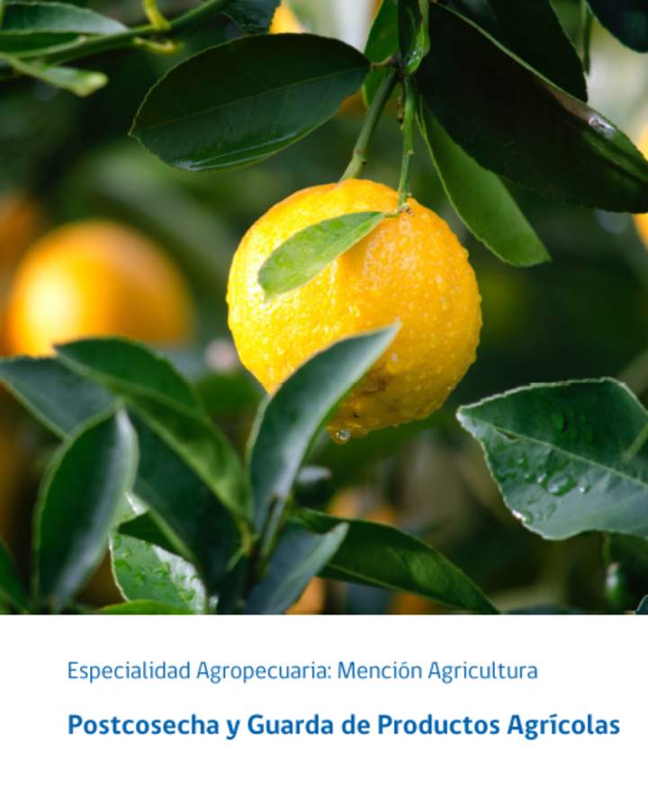 Foto Portada Foto Portada