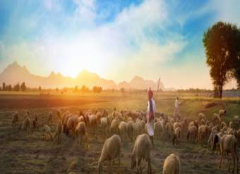 Foto Portada Foto Portada