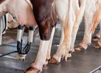 Foto Portada Foto Portada