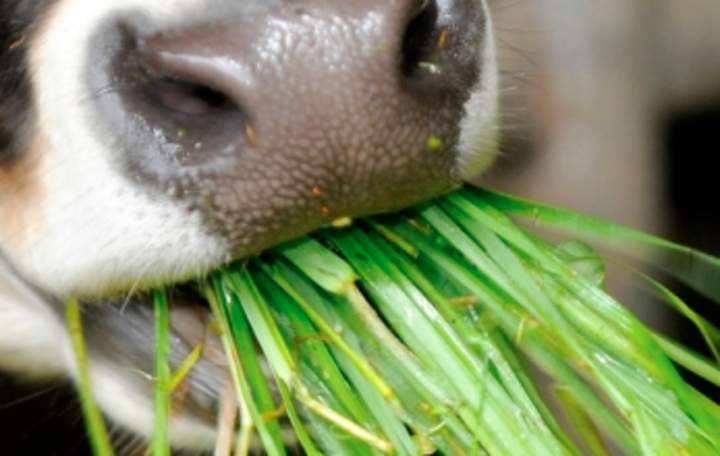 Foto Portada Foto Portada