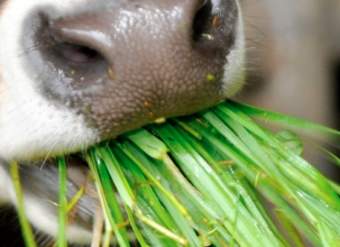 Foto Portada Foto Portada