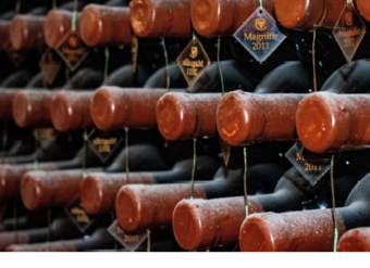 Foto Portada Foto Portada