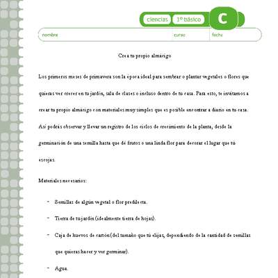 Almácigo de cartón Almácigo de cartón