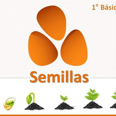 Semillas Semillas
