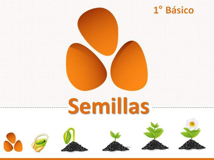 Semillas Semillas