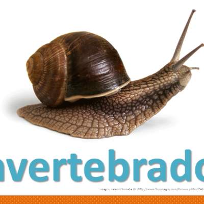 Invertebrados Invertebrados