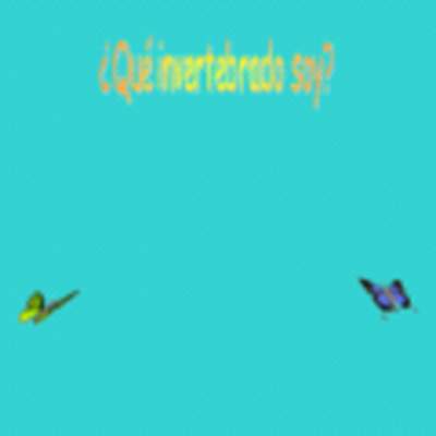 Adivina quien soy Adivina quien soy