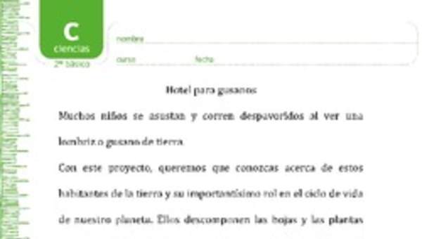 Hotel para lombrices Hotel para lombrices