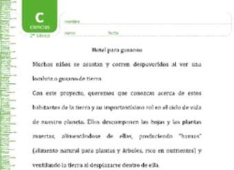 Hotel para lombrices Hotel para lombrices