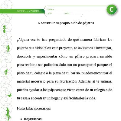 Nido de pájaros Nido de pájaros