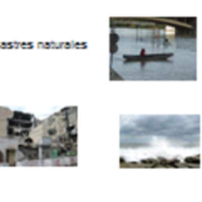 Desastres naturales Desastres naturales